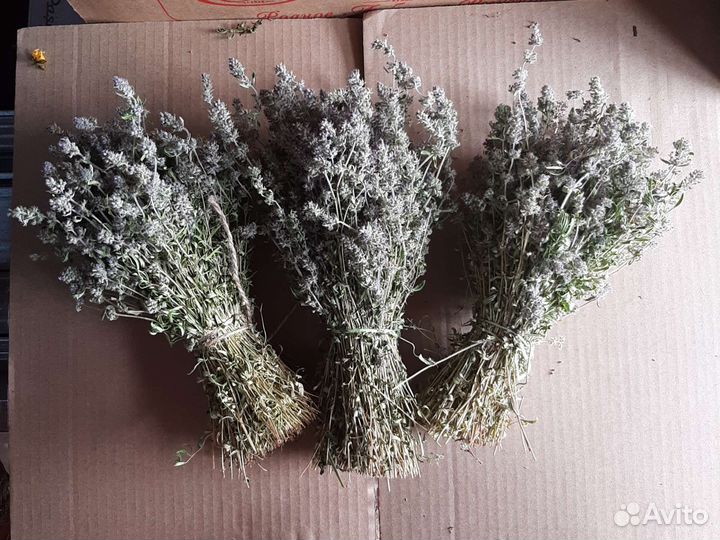 Чабрец,Зверобой,Душица. Мед. сбор 2023 года