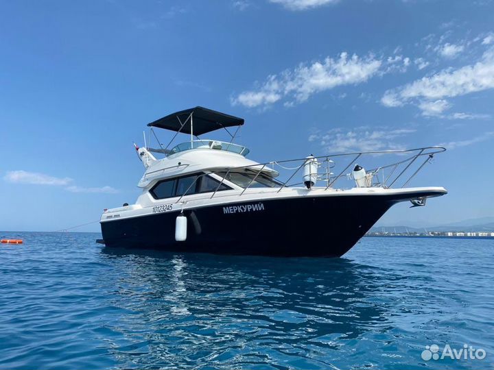 Bayliner 288 Flybridge