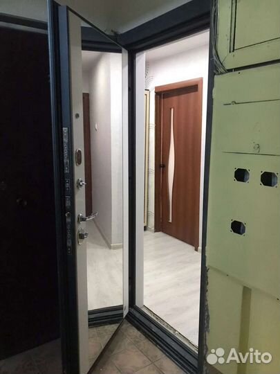 Двери с зеркалом входные от производителя