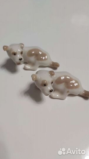 Собачки лфз