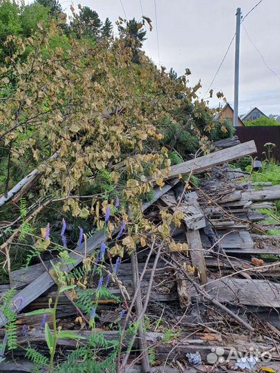 Дрова деревяшки