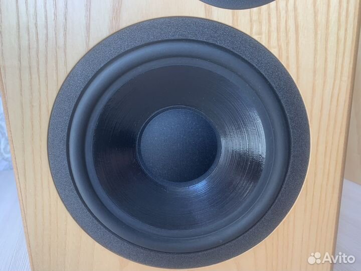 Акустика Neat Critique 2