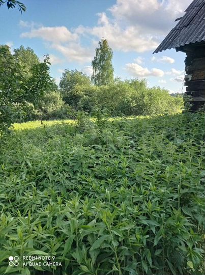 Дача 20 м² на участке 24 сот.