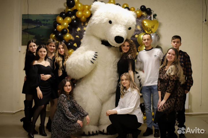 Белый, голубой мишка и кот поздравление