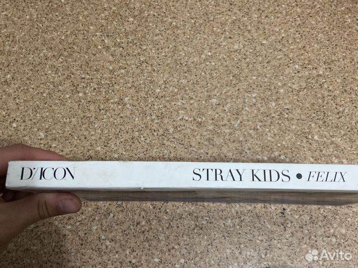 Журнал dicon D’festa Stray Kids