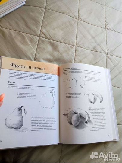 Учебник рисования