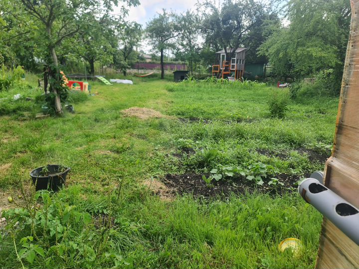 Участок 5,6 сот. (СНТ, ДНП)