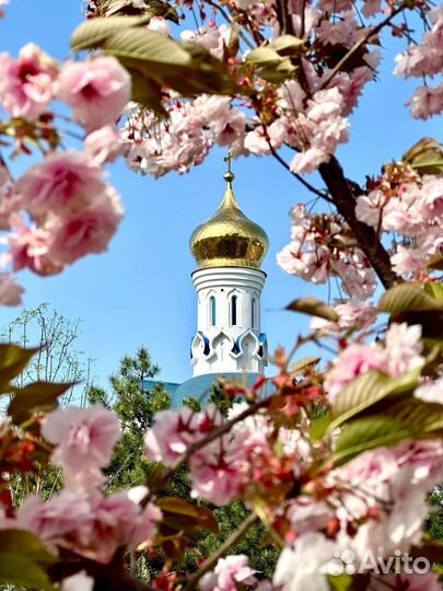 Ваш личный риэлтор. Агент по недвижимости. Брокер