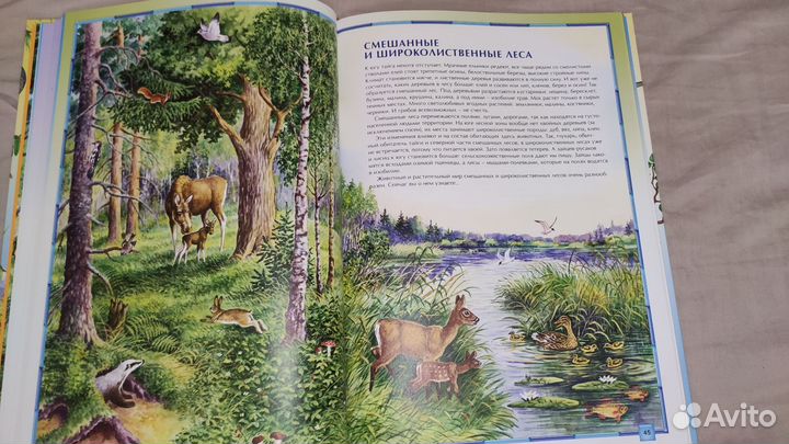 Энциклопедия природа России