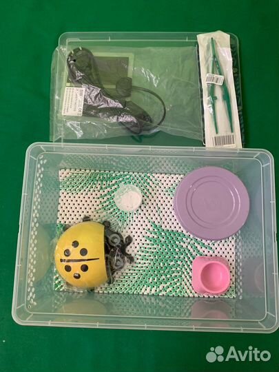 Набор для содержания Эублефара (малый )