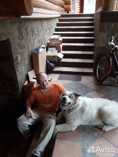 Услуги сантехника