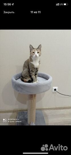 Когтеточка лежанка новая, высота 0,7 м