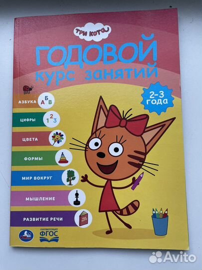 Годовой курс занятий 2 3 года