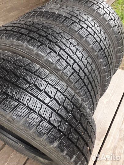 Dunlop Winter Maxx WM01 185/70 R14