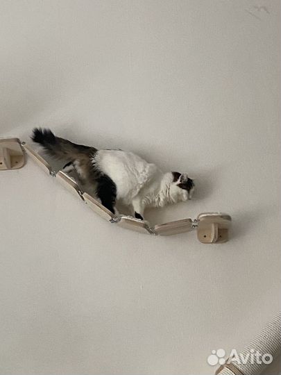 Игровой комплекс для кошек. Когтеточка,гамак, мост