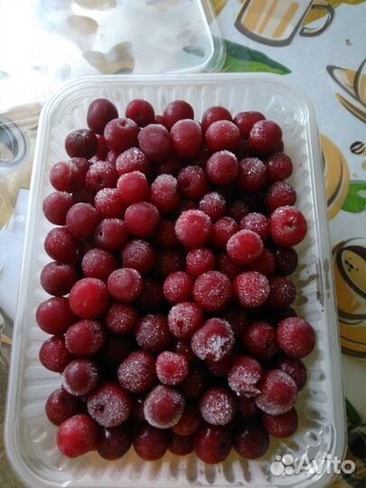 Заморозка домашняя зелень, ягода, смеси