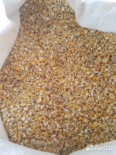 Комбикорм, Зерно в Тамбове