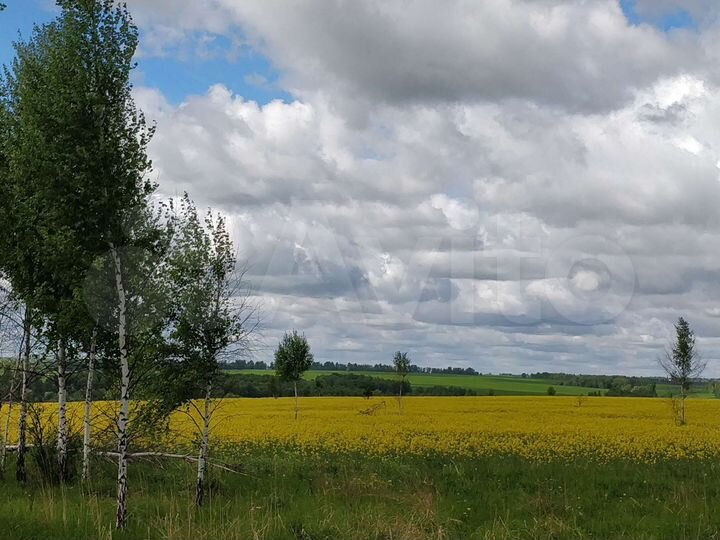Участок 60 га (СНТ, ДНП)