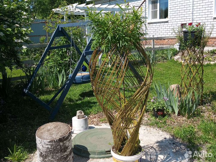 Плетёные деревья из ивы