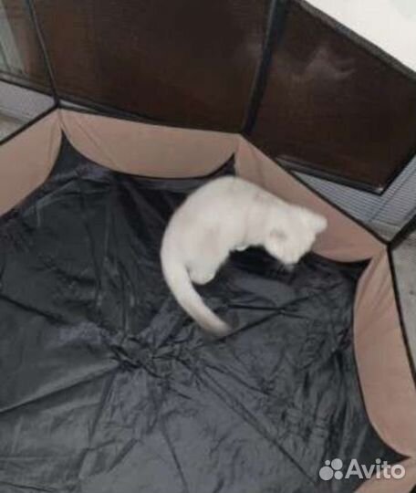 Вальер для собаки или кошки