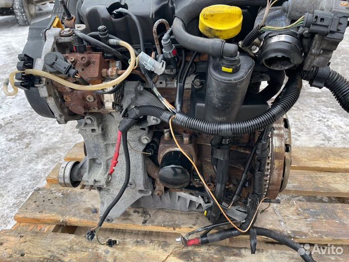 Двигатель Renault Megane Scenic 1.9 DCI F9Q