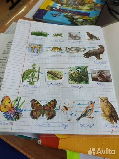 Репетитор начальных классов, подготовка к школе