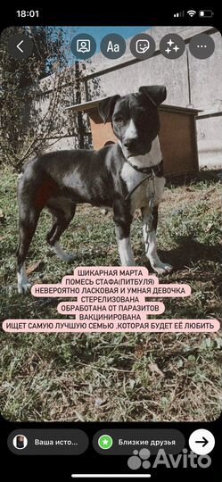 Шикарная Марта