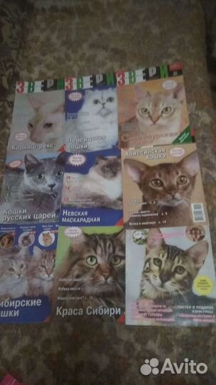 Любителям кошек