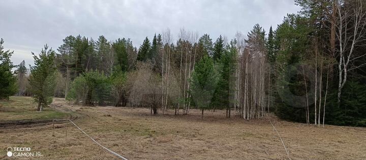 Участок 11,5 сот. (СНТ, ДНП)