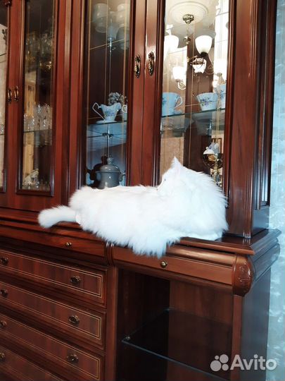 Стенка горка в гостиную бу