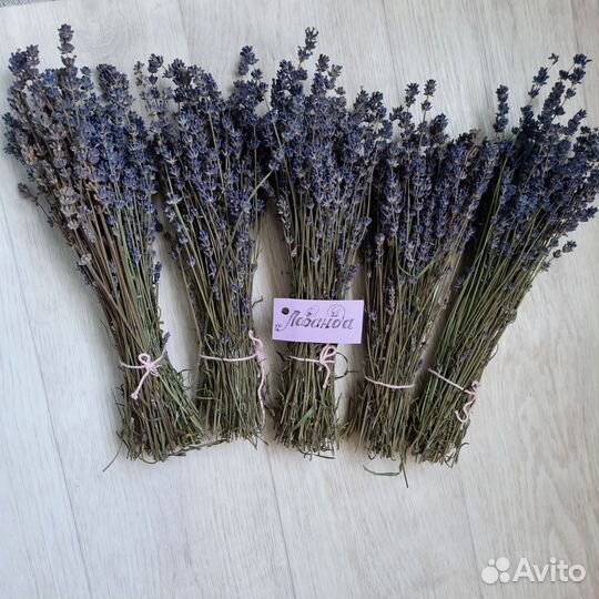 Букет из лаванды