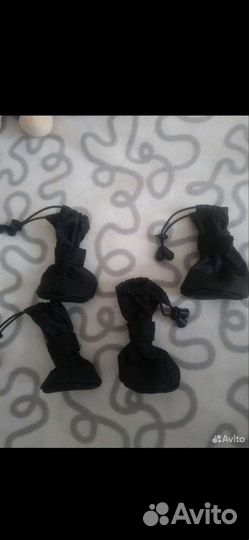 Обувь для собак