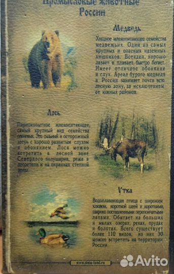 Книга сейф Охотнику