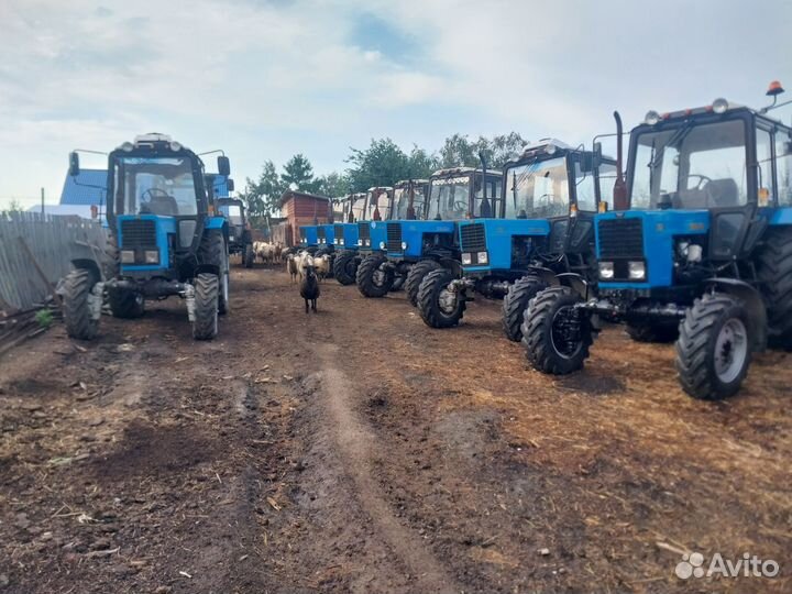 Трактор МТЗ (Беларус) 82.1, 2011