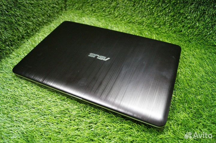 Как новый asus для учебы, работы и интернета