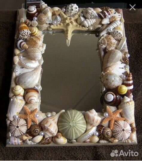 Морские ракушки