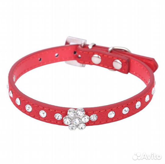 Ошейник для кошек и собак мелких пород