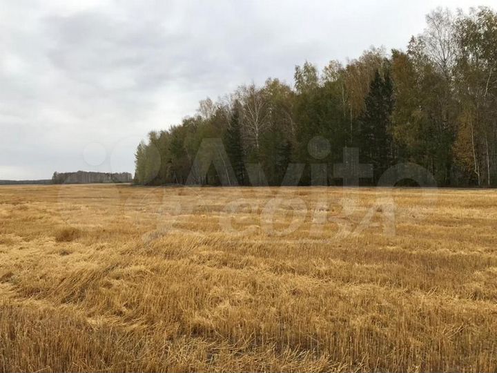 Участок 2 га (СНТ, ДНП)