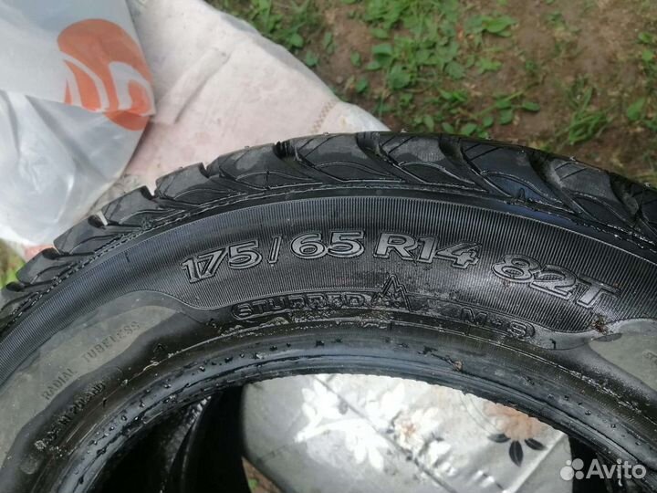 Sava Eskimo Stud 175/65 R14