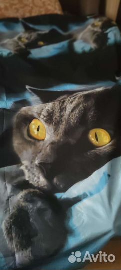 Постельное белье кошка