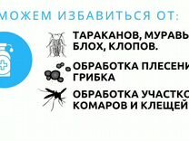 Уничтожение морение клопов тараканов комаров