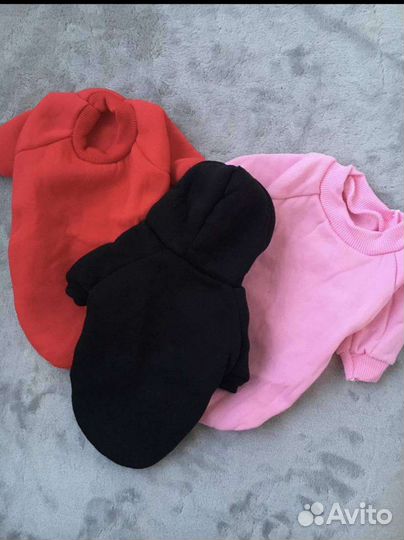 Одежда для собак