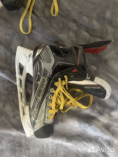 Коньки bauer vapor x900