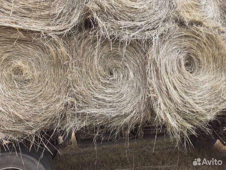 Сено в рулонах