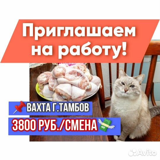 Обвальщики на птицефабрику вахта г.Тамбов