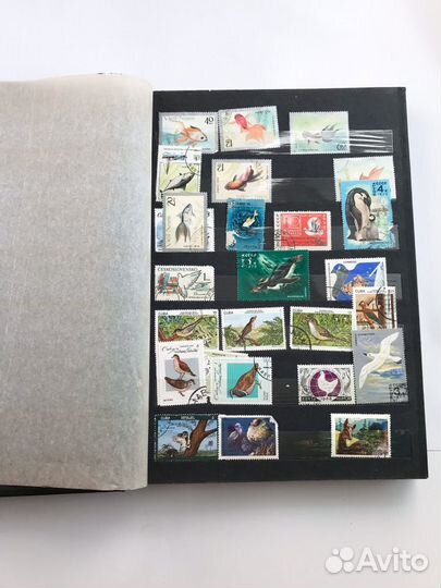 Почтовые марки