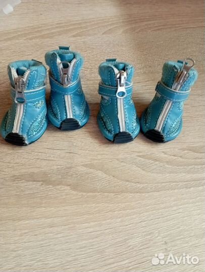 Обувь, и шапки для собак