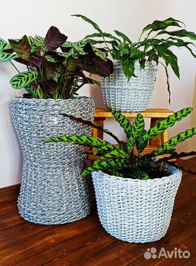 Кашпо для дома и сада