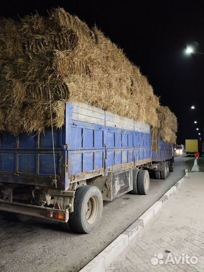 Солома рисовая с доставкой