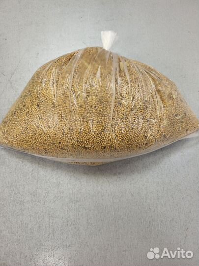 Горчица белая семена